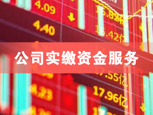 三沙公司实缴资金服务